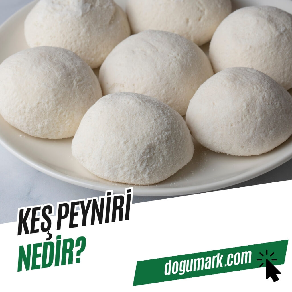 Keş Peyniri Nedir